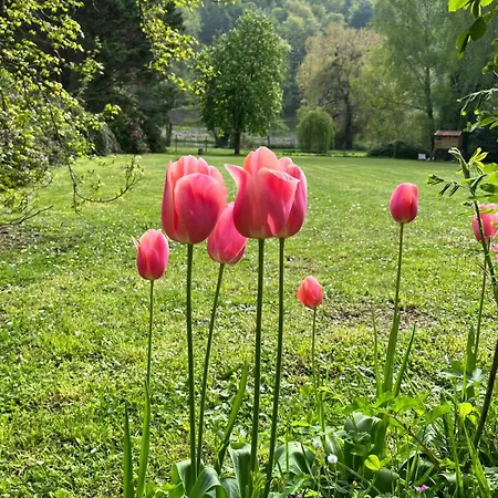 Parenthèse Au Bord De L'eure Hébergement de vacances
